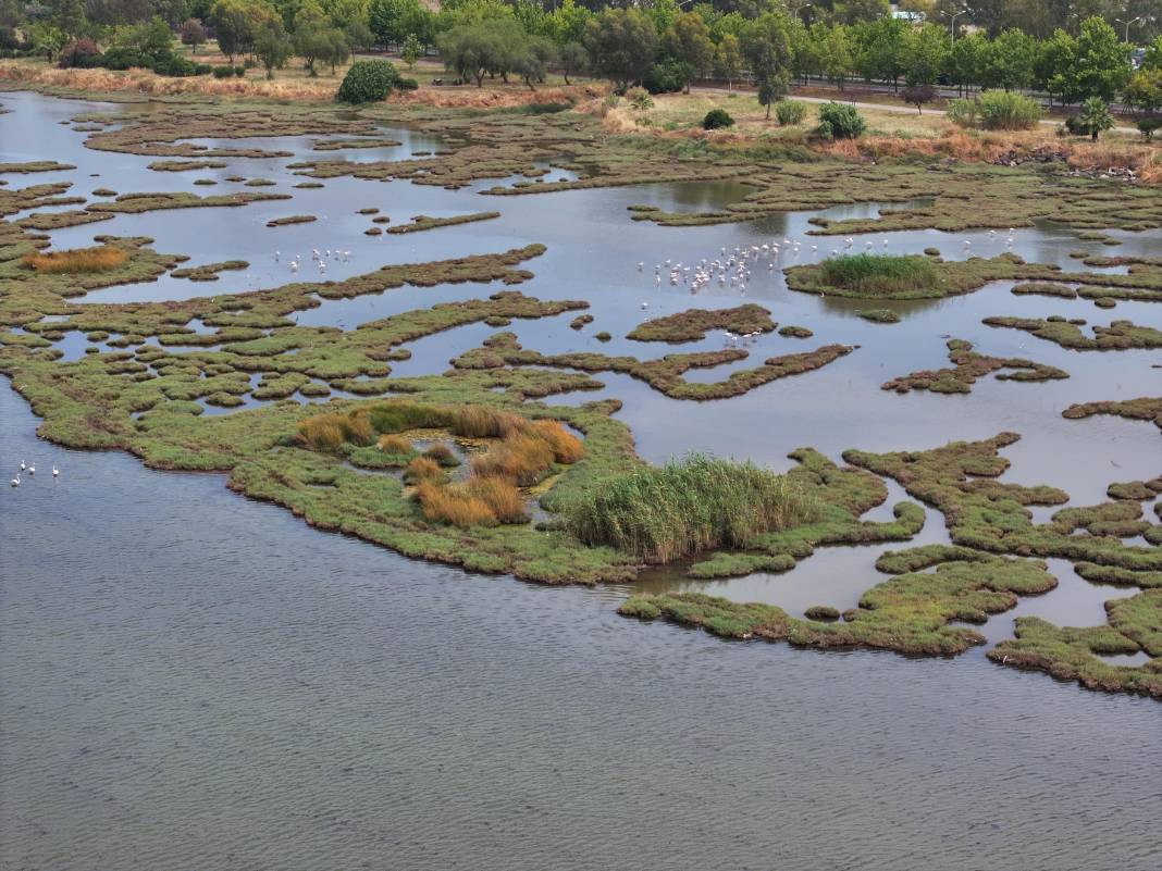 İzmir’de denizin rengi değişti! Görüntü ne ifade ediyor? - Resim: 21